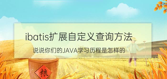 ibatis扩展自定义查询方法 说说你们的JAVA学习历程是怎样的？